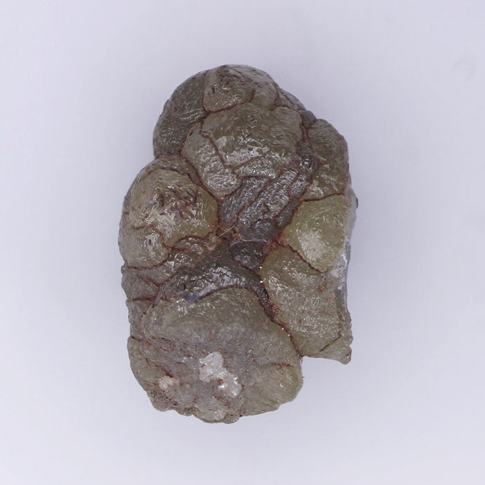 ( DW - 48 )Natural Rough Diamond 2.7 ct