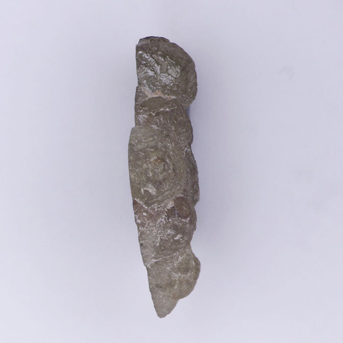 ( DW - 56 )Natural Rough Diamond 1.2 ct